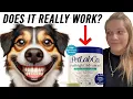 HONEST REVIEW PetLab ProBright Powder For Dogs Does It Really Work