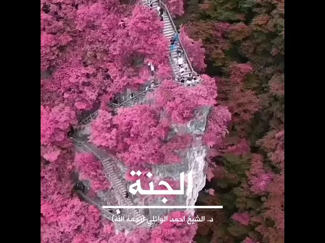 ⁣الجنة ||د. الشيخ احمد الوائلي (رحمهُ الله)