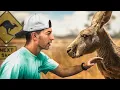 Download Lagu Australië Bucketlist