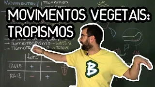 Movimentos Vegetais: Tropismos - Fisio Vegetal - Aula 30: Botânica (Prof. Guilherme)
