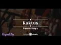 Download Lagu Kaktus – Suara Kayu (KARAOKE ACOUSTIC - ORIGINAL KEY)