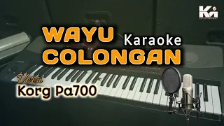 Download WAYU COLONGAN || Karaoke Nada Cewe korg pa700 || Dian Anic tanpa Vocal MP3