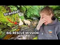 Download Lagu Big RESCUE mission!!.... 1st gather of the year