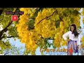 Lagu Grace Ashy