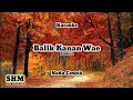 Download Lagu KARAOKE - BALIK KANAN WAE ACOUSTIC (NADA CEWEK)
