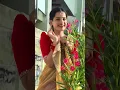Lagu Pilichina Rantava❣️💞#youtubeshorts #ytshorts #shorts #trending #viralvideo #love #lallu #dance #song