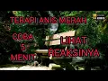 Download Lagu TERAPI Burung ANIS MERAH, Coba 5 Menit Lihat REAKSINYA.