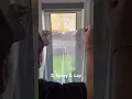 Download Lagu Privacy Window Film (Mirror Tint) Window Tint for your House! 😲 #diy #windows #windowtint #tint