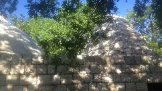 وفيق حبيب هاجر قديم جدا 2002 