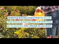 Sami Sacha Flowers - Flowers from farm to your doorstep