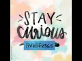 Stay Curious