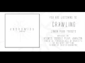 Download Lagu Andromida - Crawling (Linkin Park Cover)