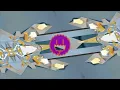 Sonny Fodera, Biscits - Perfect (Extended Mix)