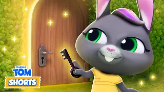 The Mystery Door 😮🔒 Talking Tom Shorts | Cartoons for Kids