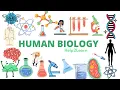 A Level Human Biology - Reproduction and Contraception