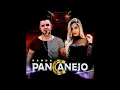 Download Lagu Bebendo Beijando E Dançando - Banda Pancanejo CD Volume 05