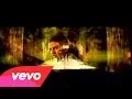 Download Lagu Iwan Fals - Aku Bukan Pilihan (Original Clip) [1080p HD]