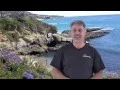 Dana Point Carpet Patch