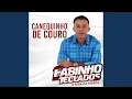Download Lagu Canequinho de Couro (Ao Vivo)