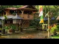 Download Lagu Dijamin Bikin Betah‼️Rumah Villa Unik Di Atas Kolam Ikan Di Hiasi Taman Indah