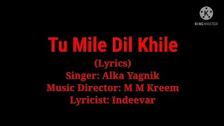 song tu mile dil khile lyrics by alka yagnik