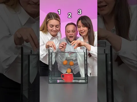 1, 2 or 3?🥚🤔