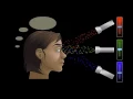 3 Colour Histogram Explained