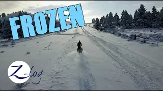 FROZEN    Our Christmas Z-Log!