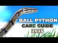 Download Lagu The NEW Ball Python Care Guide For Beginners