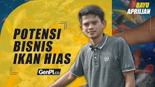Potensi Bisnis Ikan Hias Tak Pernah Mati, Omzetnya Ngeri 