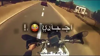 مجنون ودماغي طقة هربانة مني يا برو     دندنها