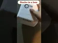 Snake in a box #jumpscare #snake #scary