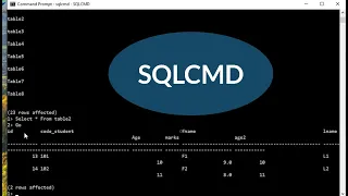 How to Get Data from SQL Database Using SQLCMD Step-by-Step Tutorial