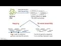 WES sequence alignment variant calling and annotation review part 1