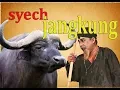 Download Lagu SYECH JANGKUNG DAN LULANG KEBO LANDOH
