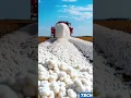 Lagu Watch Giant Machines Transform Cotton Fields The Future of Farming Revealed