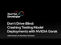 Don t Drive Blind Crashing Testing Model Deployments with NVIDIA Garak
