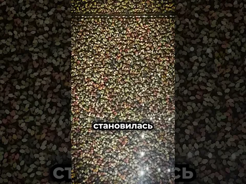 Самая жуткая стена в мире 😳