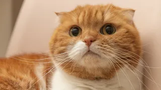 전해드릴 얘기가 있습니다.