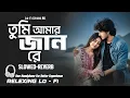 Lagu Tumi Amar Jan Re | তুমি আমার জান রে | Relexing Lo-Fi Version | Tiktok Viral Song | Lo-Fi Song |