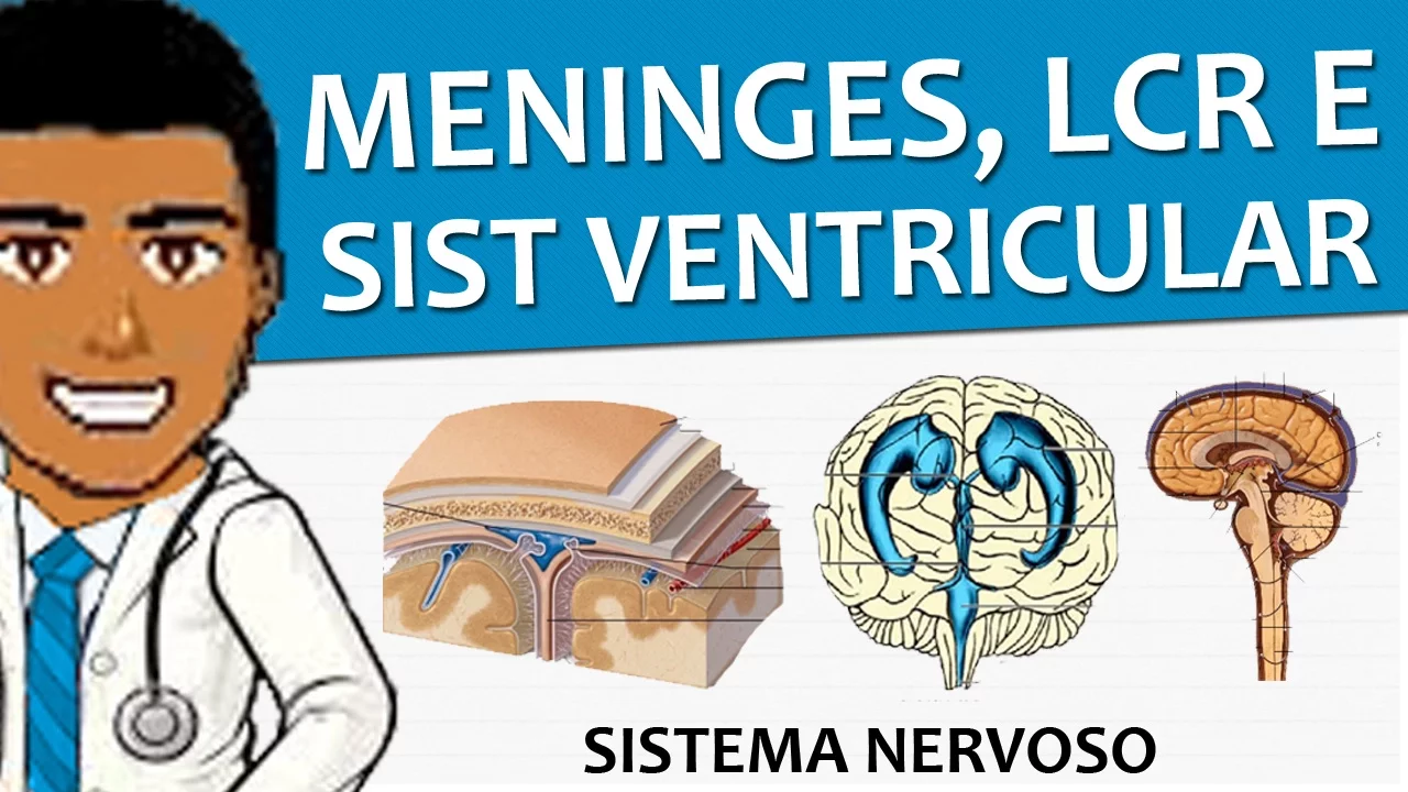 Sistema Nervoso 07 - Meninges, LCR e Sistema Ventricular (Vídeo aula)