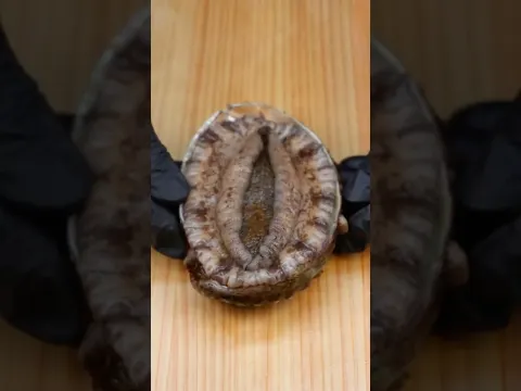 Would you eat this??