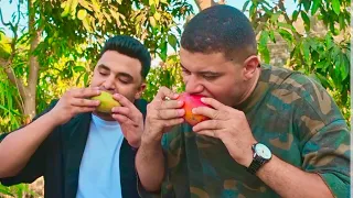 إسماعيليه كما لم تراها من قبل 🥭
