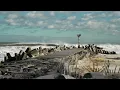 HUGE WAVES in New Jersey - Dangerous Conditions at Manasquan Inlet