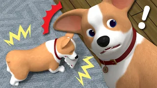 My Puppy Buddy│Best Fire Safety Series🚒│Cute My Dog│Cartoon for Kids│Robocar POLI TV