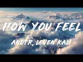 ANOTR - How You Feel (Lyrics) ft. Leven Kali, Erik Bandt