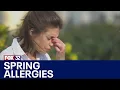 Unseasonably warm weather triggers early allergy season in Chicago