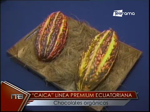 CAICA línea premium ecuatoriana chocolates orgánicos