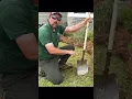 Tucking pinestraw like a pro
