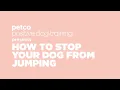 How to Stop Your Dog from Jumping Petco